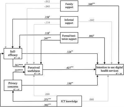 Acceptance of digital health services among older adults: Findings on perceived usefulness, self-efficacy, privacy concerns, ICT knowledge, and support seeking